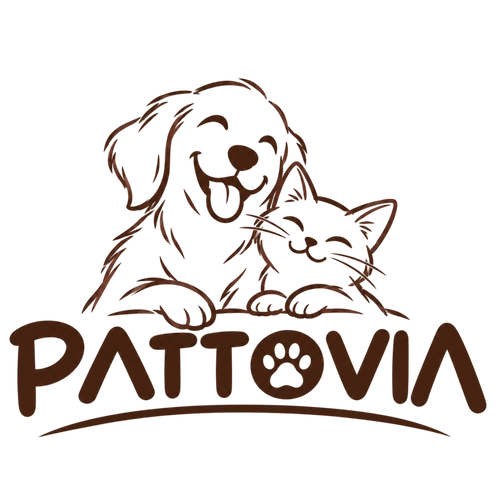 Pattovia 